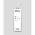 Заспокійливий шампунь для чутливої шкіри голови MORPHOSIS SCALP DESTRESS SHAMPOO FRAMESI 1000 мл.